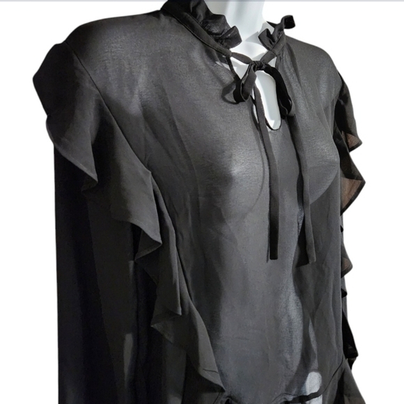 NWT Anna Cai Mesh Sheer Ruffle Top - Picture 2 of 4